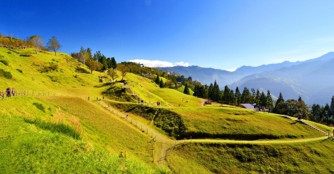 帶您玩遍清境農場